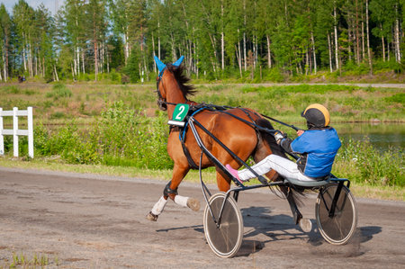 Equestrian sport. Harness racing. Horse race at hippodrome. Horses compete in harness racingの写真素材