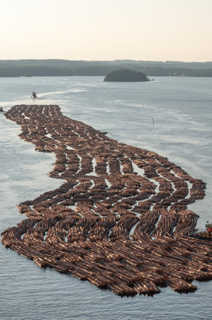 Transportation of wood by water. Raw logs floating down the river. Timber rafts, logging. Tugboat pulling log boom. Finland.の写真素材