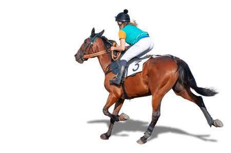 Jockey during horse race on his horse. Sport, equestrian. Isolated on a white backgroundの写真素材