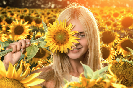 young beautiful woman on blooming sunflower field in summerの写真素材