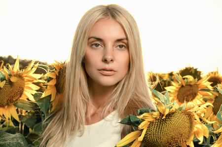 young beautiful woman on a flowering field of sunflowersの写真素材