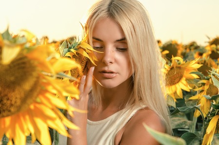 young beautiful woman on a flowering field of sunflowersの写真素材