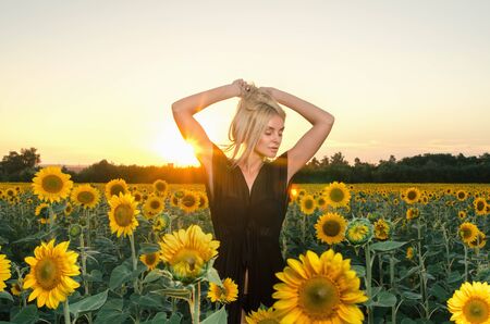 Beautiful young blonde model in black dress on a field of sunflowers at sunsetの写真素材
