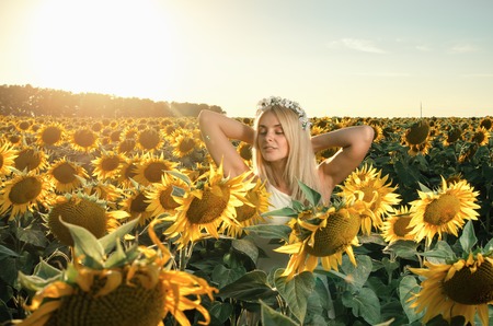 young beautiful woman on blooming sunflower field in summerの写真素材
