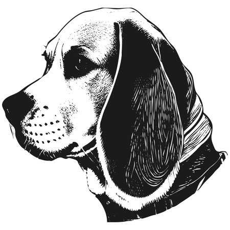 Beagle cartoon face image hand drawn ,black and white drawing of dogのイラスト素材