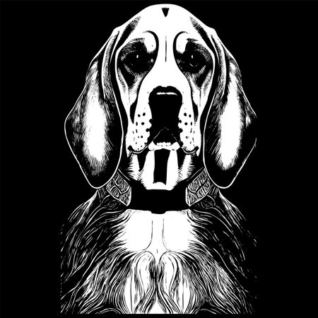 Beagle hand drawn vector clip art ,black and white drawing of dogのイラスト素材