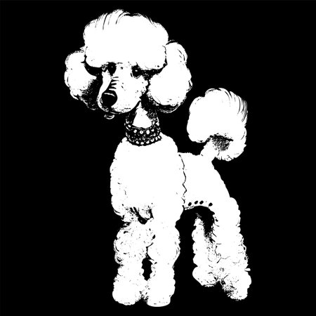 Cute Poodle cartoon image, hand drawn vector portrait ,black and white drawing of dogのイラスト素材