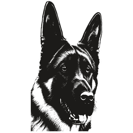 German shepherd cartoon face image hand drawn ,black and white drawing of dogのイラスト素材