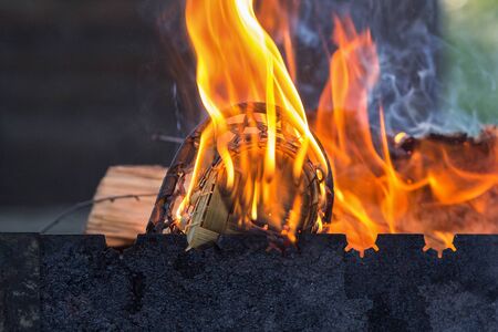 We rest and fry juicy kebabs in nature on a warm Sunny day in summer