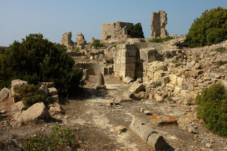 The archaeological site of Lixus in Moroccoの写真素材
