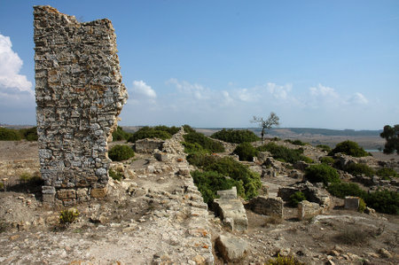 The archaeological site of Lixus in Moroccoの写真素材