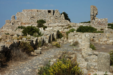 The archaeological site of Lixus in Moroccoの写真素材