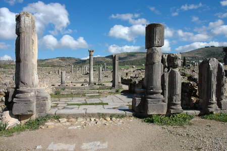 Archaeological site of Volubilis in Moroccoの写真素材