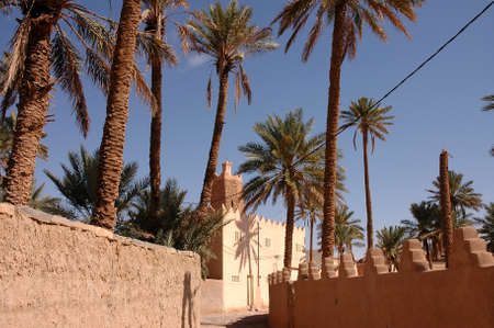 Palm grove of Figuig in Morocco in south-eastern Morocco