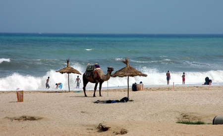 View of the coastal town M'DIQ in northern Moroccoの写真素材
