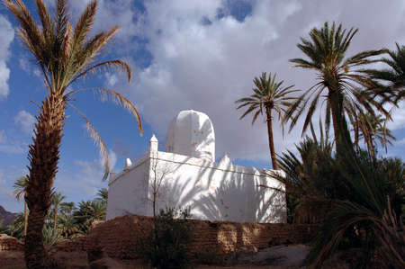 Palm grove of Figuig in south-eastern Moroccoの写真素材