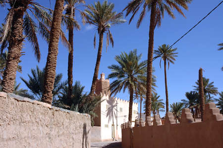 Palm grove of Figuig in south-eastern Moroccoの写真素材