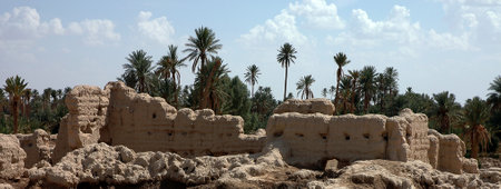 Palm grove of Tafilalet Sijilmassa in moroccoの写真素材