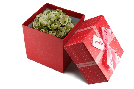 Open gift red box with flowers on a white background.の写真素材