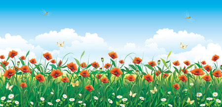 field with poppiesのイラスト素材