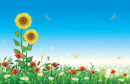 summer flower meadow with flowers and sunflowersのイラスト素材