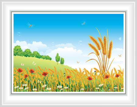 Landscape with wheat against the sky with cloudsのイラスト素材