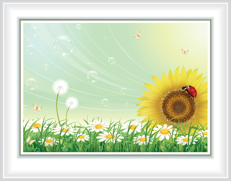 Greeting card with sunflowers and daisies on an abstract background.のイラスト素材