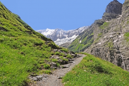 Swiss Alps の写真素材