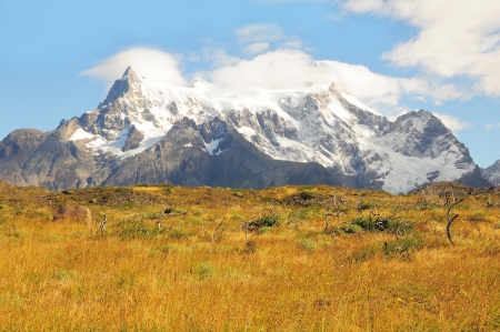 National Park Torres del Paine  Chile の写真素材