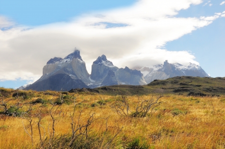 National Park Torres del Paine  Chile の写真素材