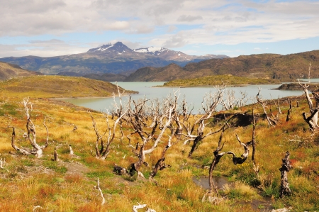 National Park Torres del Paine  Chile の写真素材