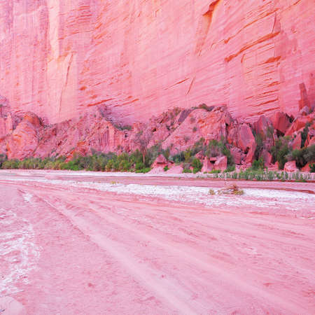 Road and red rock on the bottom of the canyon  Talampaya National Park  Argentina  の写真素材