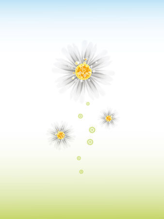 Three daisy flowers on white background のイラスト素材