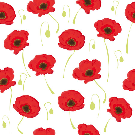 Poppy flowers on white background  Seamless pattern のイラスト素材