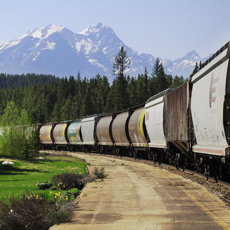 Long freight train after famous spiral tunnels goes from Vancouver to Calgary on June 09, 2011 in Lake Louise, Canada  のeditorial素材