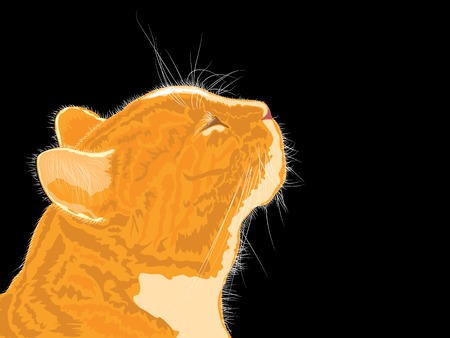 Cat smells spring flavors on black background. Vector illustration.のイラスト素材