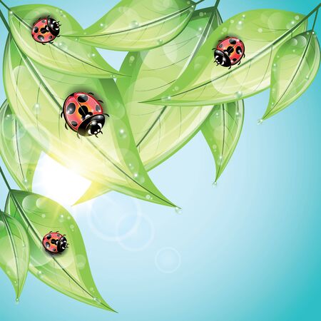 Red ladybugs on the green leaves on the sky background.のイラスト素材