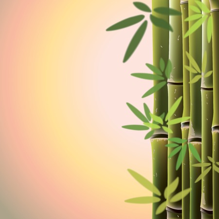 Bamboo trees and leaves at sunste time. Vector illustration.のイラスト素材