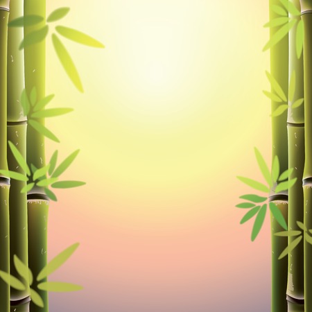 Bamboo trees and leaves at sunset time. Vector illustration.のイラスト素材
