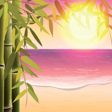Bamboo trees and leaves on the sand beach background at sunset time.のイラスト素材
