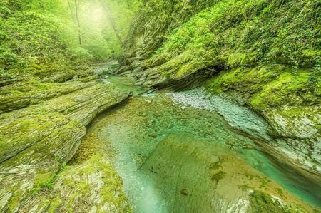 Creek with clear water in the deep canyon.の写真素材