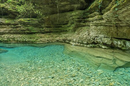 Pure water of the creek in the deep canyon.の写真素材