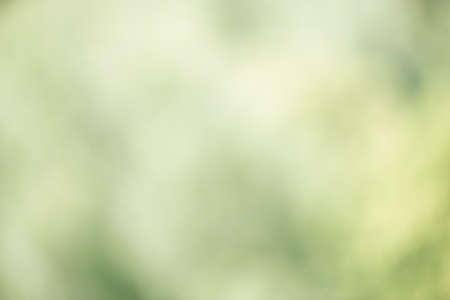 defocused light natural background in summer time.の写真素材