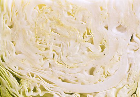 Cabbage cut with knife.の写真素材