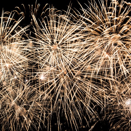 Fireworks. Day of the city celebration at evening time.