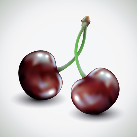 Pair of cherries isolated on white background.  Vector illustration.のイラスト素材