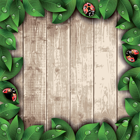 Red ladybugs and green leaves on wooden texture background. Vector illustration.のイラスト素材