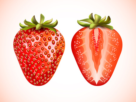 Pieces of fresh strawberry isolated on white background.のイラスト素材