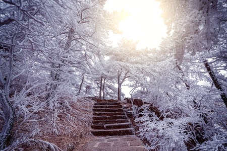 Winter stairway view in Huangshan National park.の写真素材