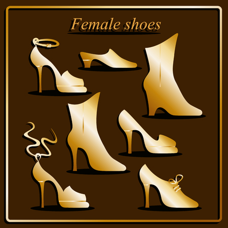 Different types of women shoes on brown background. Vector illustrationのイラスト素材